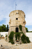Bewachsener Turm im Kloster Agios Georgios Krimnon, Zakynthos, Ionische Inseln, Griechenland, Europa