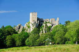 Castle ruin Weissenstein, Regen, Bavarian Forest, Lower Bavaria, Bavaria, Germany