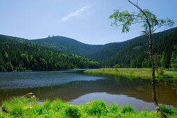 Small Arber Lake, Great Arber in background, Bavarian Forest National Park, Lower Bavaria, Bavaria, Germany