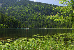 Tretboote auf dem Großen Arbersee, Nationalpark Bayerischer Wald, Niederbayern, Bayern, Deutschland