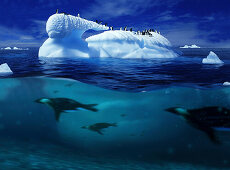Eisberg und Pinguine über und unter Wasser, Antarktische Halbinsel, Antarktis