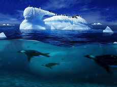 Iceberg with penguins and penguins under water, Antarctic Peninsula, Antarctica