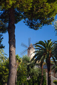 Historic windmill of Es Jonquet at the Old Town of Palma, Mallorca, Balearic Islands, Mediterranean Sea, Spain, Europe