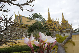 Blossoms and plants in front of The Royal Palace, Phnom Penh, Cambodia, Asia