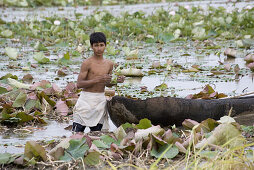 Cambodian boy standing in a pond with lotus plants, Phnom Penh Province, Cambodia, Asia