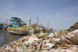 Shells and fishing boats at the harbour of Mui Ne, Binh Thuan Province, Vietnam, Asia