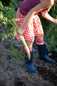 Girl (8-9 years) holding carrot, Lower Saxony, Germany