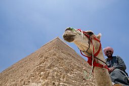 Pyramid of Khafra, Egypt, Cairo