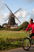 Woman cycling, windmill in background, Oldsum, Foehr island, Schleswig-Holstein, Germany