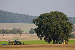 Traktor, Pflug, Feld, Baum, Hügellandschaft