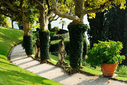 Path with plane trees, Villa del Balbianello, Lenno, Lake Como, Lombardy, Italy