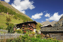 Bauernhäuser mit Garten, Vinschgau, Trentino-Südtirol, Italien