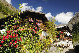 Bauernhäuser mit Garten, Vinschgau, Trentino-Südtirol, Italien