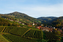 Blick über Sasbachwalden im Herbst, Baden-Württemberg, Deutschland