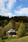 Schwarzwaldhof bei Todtmoos, Baden-Württemberg, Deutschland