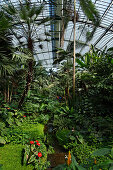 Palm garden, Frankfurt am Main, Hesse, Germany