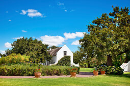 Winery at Palmiet Valley, dutch architecture, Paarl, Cape Town, Western Cape, South Africa, Africa