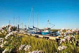 Marina, Tuemlauer-Koog, Schleswig-Holstein, Germany