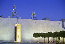 Art and Exhibition Hall of the Federal Republic of Germany, Bonn, Rhine river, North Rhine-Westphalia, Germany