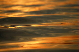 Water surface in the evening light, Lake Chiemsee, Chiemgau, Bavaria, Germany