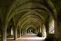 Fountains Abbey, Ripon, North Yorkshire, England, Great Britain, Europe, Fountains Abbey is one of the largest and best preserved Cistercian houses in England. It is a Grade I listed building and owned by the National Trust. It is a UNESCO World Heritage 