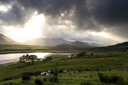 Lough Corrib, Connemara, Co. Galway, Irland, Europa