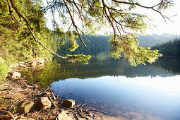 Lake Mummelsee, Seebach, Black Forest, Baden Wuerttemberg, Germany