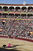 Stierkampf in der Las Ventas Arena, Madrid, Spanien