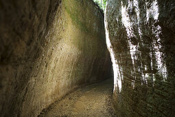 Etruskische Ausgrabungsstätte Tomba Ildebranda near Sovana, Toskana, Italien