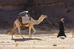 Kamel Karawane in der libyschen Wüste, Dromedare, Camelus dromedarius, Akakus Gebirge, Libyen, Sahara, Nordafrika