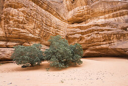 Akakus Gebirge, Libyen, Sahara, Afrika