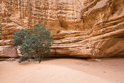 Akakus Gebirge, Libyen, Sahara, Afrika