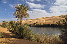 Mandara Seen in den Dünen von Ubari, Oase Um el Ma, libysche Wüste, Sahara, Libyen, Afrika