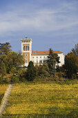 Palace near Alba, Rabaglio-Viglino, Langhe, Piedmont, Italy