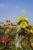 Cisterna d'Asti, Roero, Piedmont, Italy