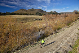 Cyclist rides towards Hyde, Otago Rail Trail, New Zealand