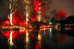 Lichtinstallation Winterleuchten im Westfalenpark, Dortmund, Ruhrgebiet, Nordrhein-Westfalen, Deutschland