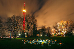 Illumination Winterleuchten at Westfalenpark, Dortmund, Ruhr area, NorthRhine-Westphalia, Germany