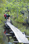 Woman pushing a mountainbike along footbridge between mangroves, Masoala National Park, Madagasca