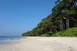 Blick über den 12 km langen Radha Nagar Beach und seinen Küstenwald, Strand 7, Havelock Island, Andamanen, Indien