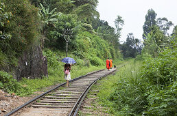 Buddhistische Mönche und eine Frau laufen entlang der Gleise an Sri Lankas schönster Eisenbahnstrecke durchs Hochland, Ella, Hochland, Sri Lanka, Asien