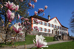 Schloss Bürgeln, bei Schliengen, Markgräfler Land, Südlicher Schwarzwald, Baden-Württemberg, Deutschland