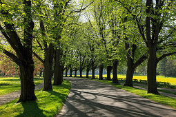 Lichtental alley, Baden-Baden, Black Forest, Baden-Württemberg, Germany