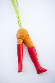 Carrot in red boots on the white background