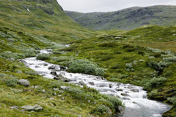 Stream in Aurland, Norway