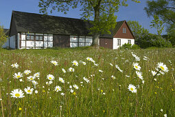 Frame house, Sweden