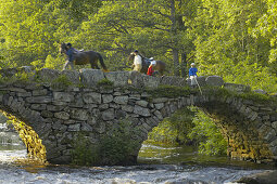 Children and horses crossing bridge