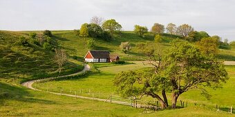 House in agriculture landscape, osterlen, Skane, Sweden