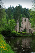 Ruins of Allerheiligen monastery at a pond, Black Forest, Baden-Württemberg, Germany, Europe