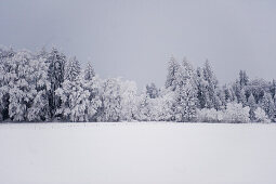 Winterlandschaft, Tegernseer Land, Oberbayern, Bayern, Deutschland